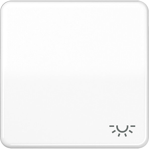 JUNG Wippe Symbol LICHT aws für Taster CD 590 L WW